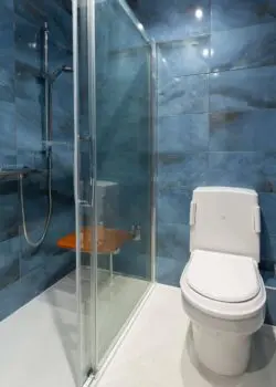 Accessible Toilet With Walk In Shower