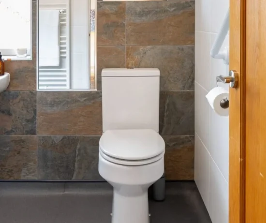 Accessible Toilet