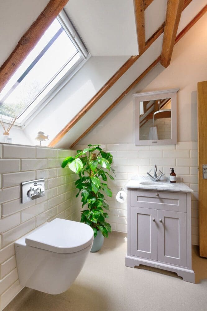 Mr And Mrs W's Bathroom Renovation Slanted Roofs With Exposed Wood Trusses, Large Plant, Contemporary Cabiner, Sink And Mirror And Modern Toilet