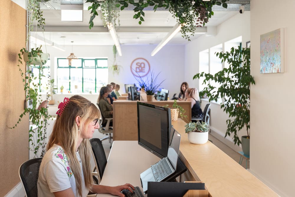 Solve Entrance With Various Team Members Working At Their Desks And Plants Hanging Down