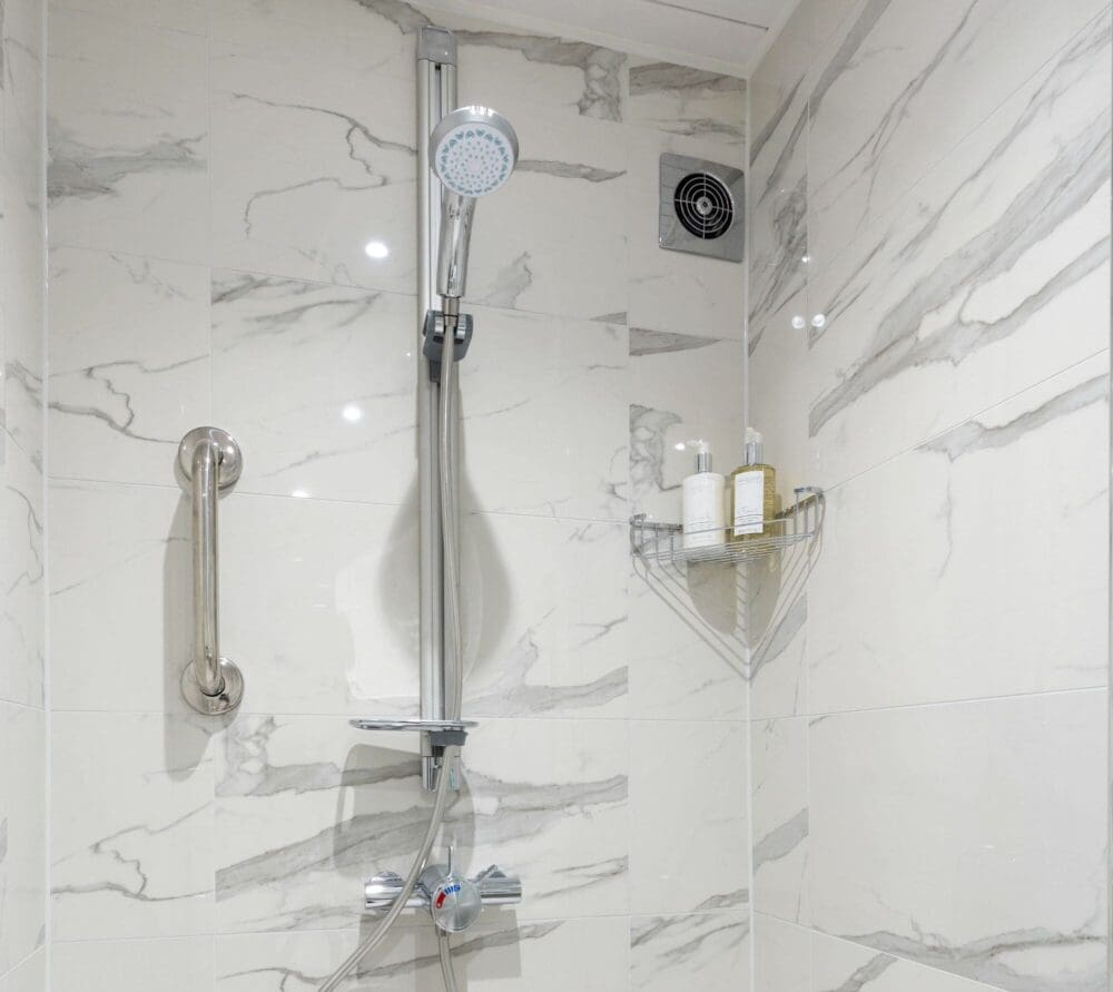 Shower With Grab Rail (1)